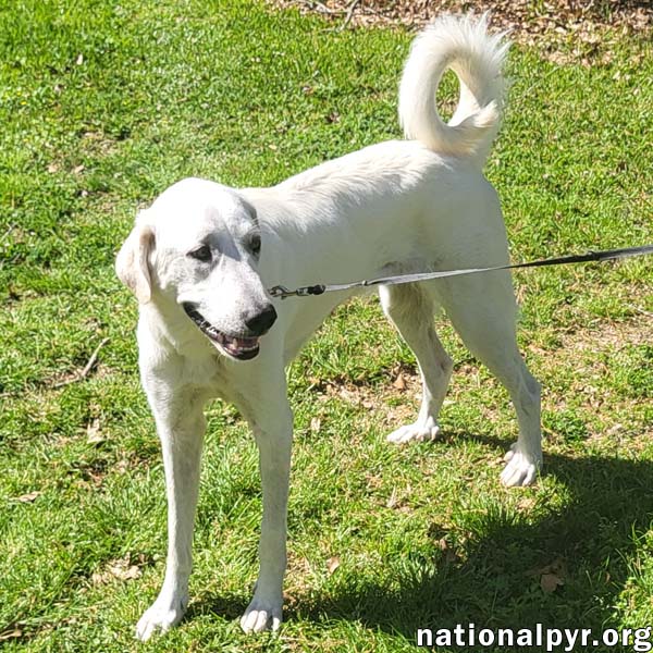 Lady In La - Sweet Sassy  Playful