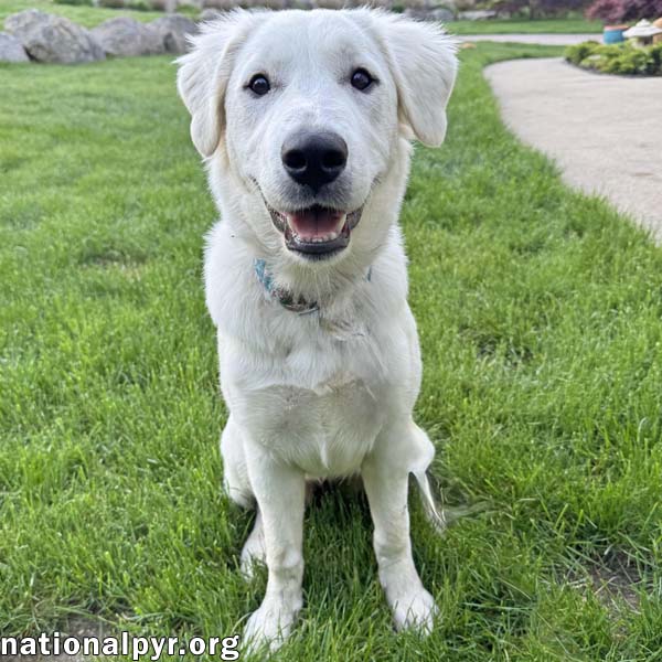 Jessa in CT - Confident & Playful!
