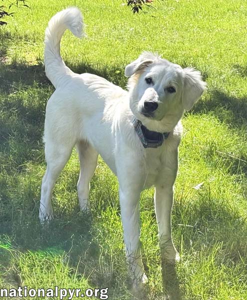Jessa in CT - Confident & Playful!