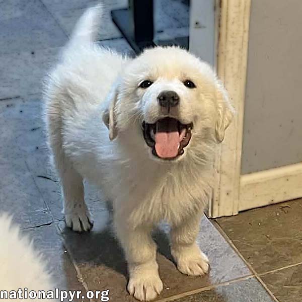 Samuel in OH - Quietly Curious & Fun-Loving! Image