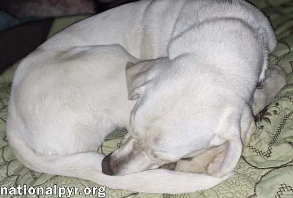 Princess In Tn - An Active Sweetheart image 3
