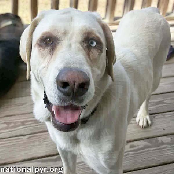 Princess In Tn - An Active Sweetheart