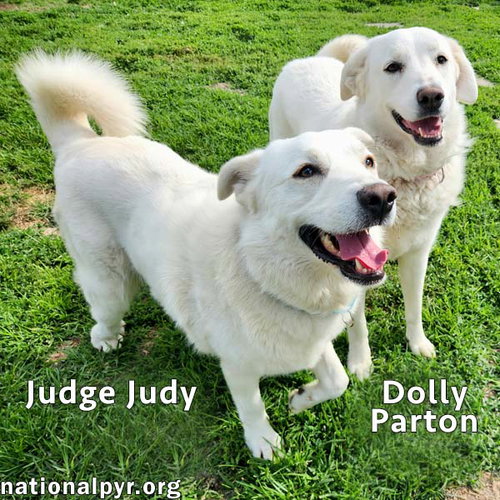 Photo 2 of Judge Judy & Dolly Parton in KY - A Fun Duo!