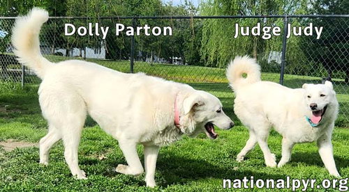 Photo 3 of Judge Judy & Dolly Parton in KY - A Fun Duo!