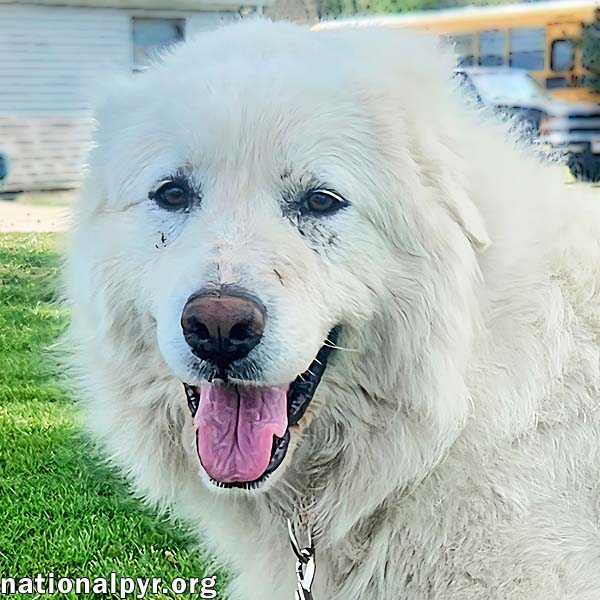 Daisy in KY - Wants To Be Close & Show You Love!
