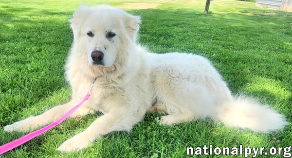 Daisy in KY - Wants To Be Close & Show You Love!