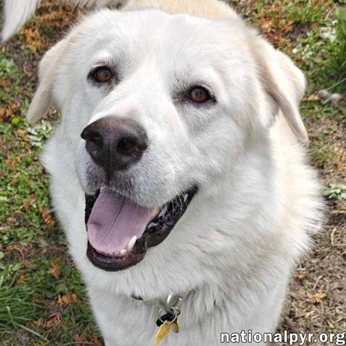 Ice in CT - Silly, Friendly & Playful!