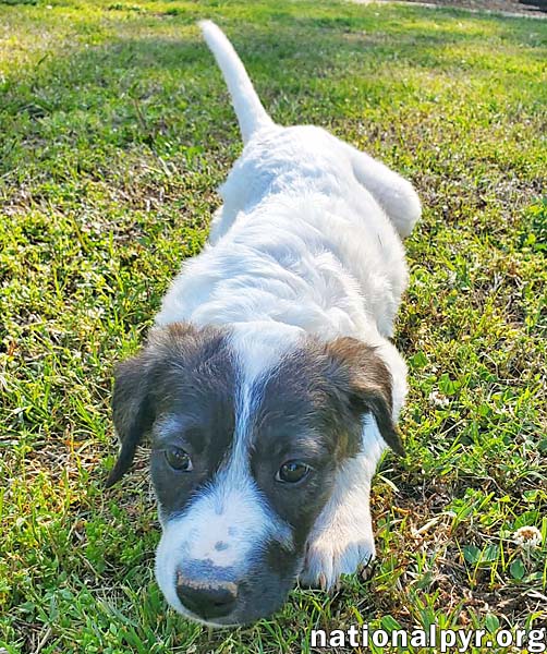 Honey in KY - Calm, Cool & Collected!