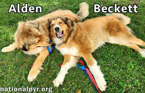 Alden & Beckett In Ky photo 2