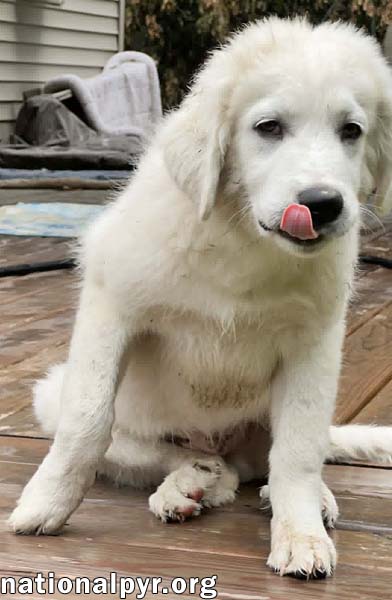 Ori In Oh photo 3