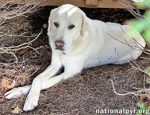 Yukon In Nj - Gentle Sweet  Quiet image 3