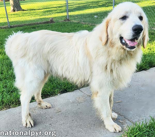 Reece in KY - Loves Meeting New People!