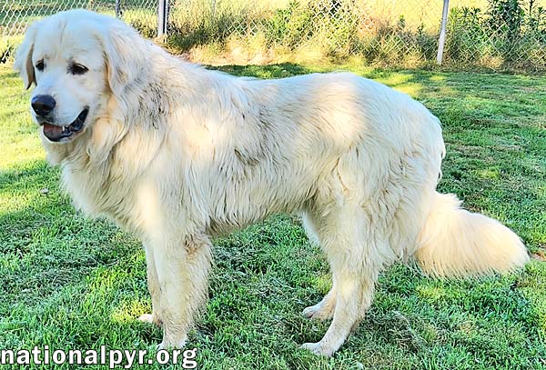 Trent in KY - Happy, Silly & Playful!