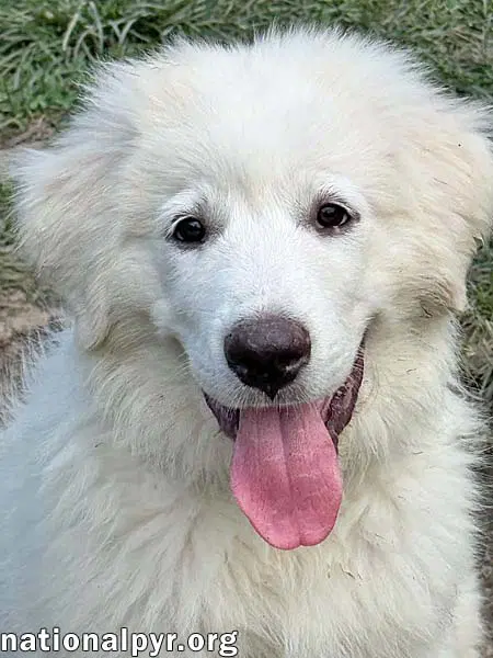 Elsa In Oh - Confident Loving  Joyful image 2