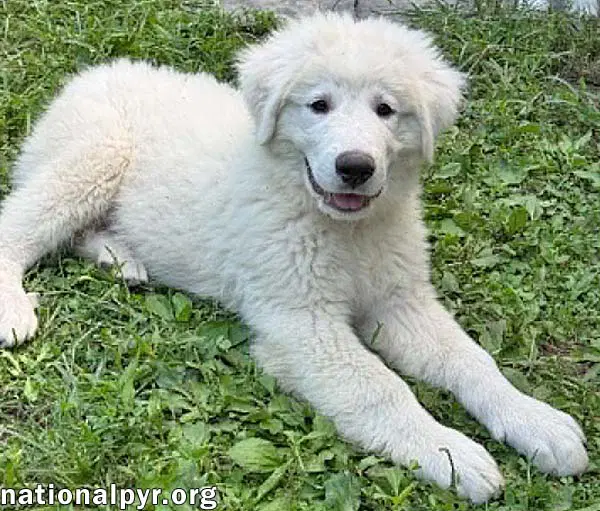 Elsa In Oh - Confident Loving  Joyful image 3