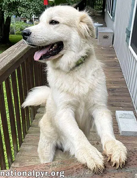 Merida In Ga - Sweet  Playful image 3