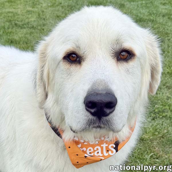 Tommy Boy In Oh - Gentle Calm  Quiet