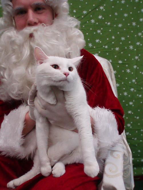 Whitey