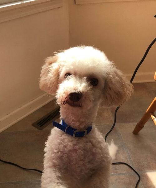 Eli