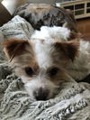 Baxter