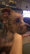 Maggie
