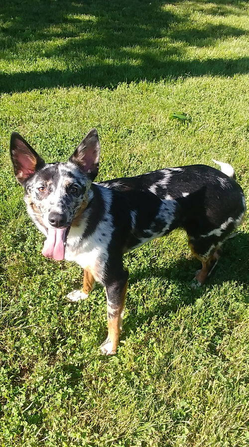 Maggie