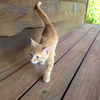 Bastien