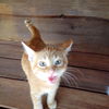 Bastien