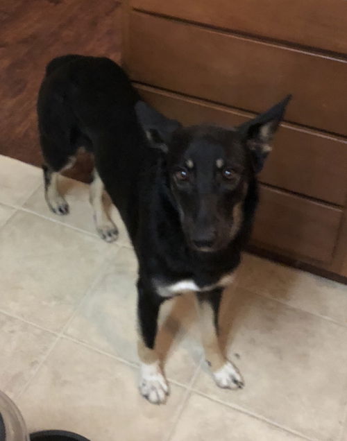 Maggie