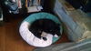 Baxter