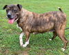 Maggie