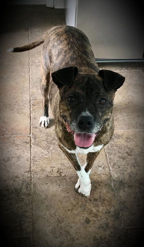 Maggie