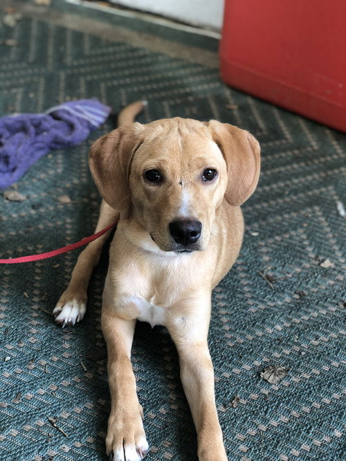 Maggie