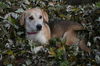 Baylee