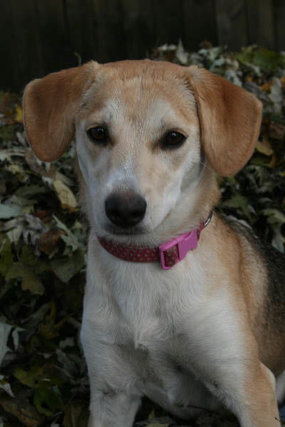 Baylee