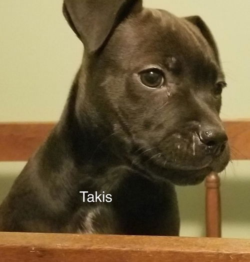 Takis