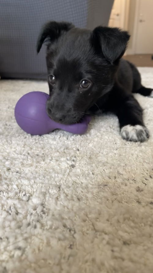 Ellie Mae