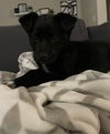 Ellie Mae