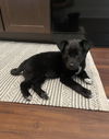 Ellie Mae