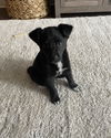 Ellie Mae