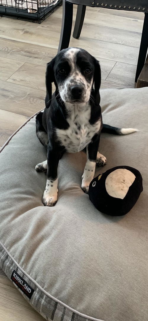 Ellie