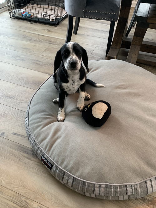 Ellie