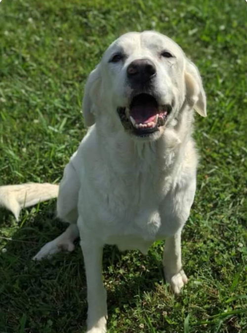 Maggie