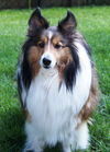 Baxter