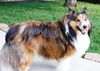 Baxter