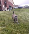 Laverne