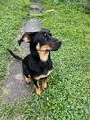 Lennox
