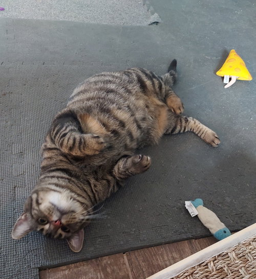 Photo 6 of Sugar