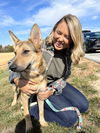 Ellie (GSD)
