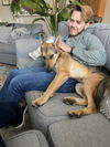 Ellie (GSD)